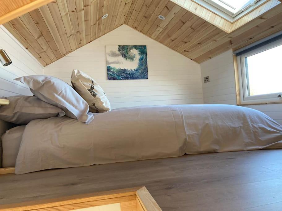 The Ashmere Tiny House Coldingham Zewnętrze zdjęcie